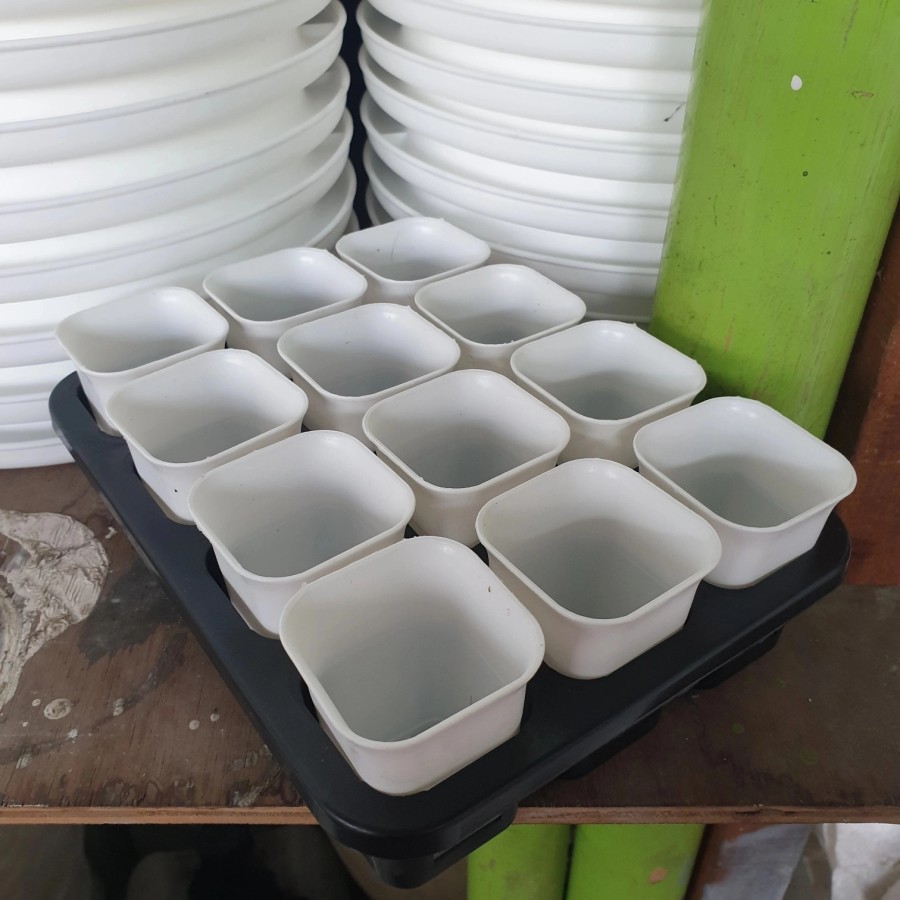 TRAY POT KOTAK 5 cm / TRYPOT KOTAK 5 cm (DENGAN POT 5 12 BH)