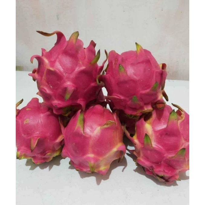 

Buah naga per buah