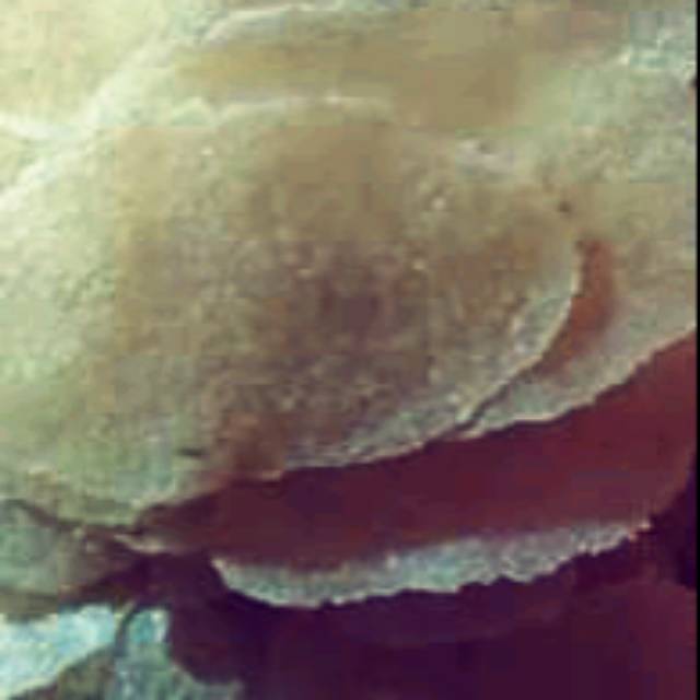 

Krupuk nasi,krupuk karak