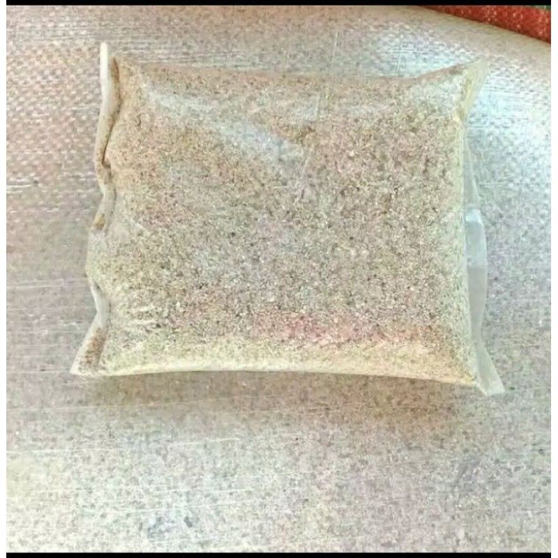 Pasir Laut Asli Putih Pengisi Aquarium