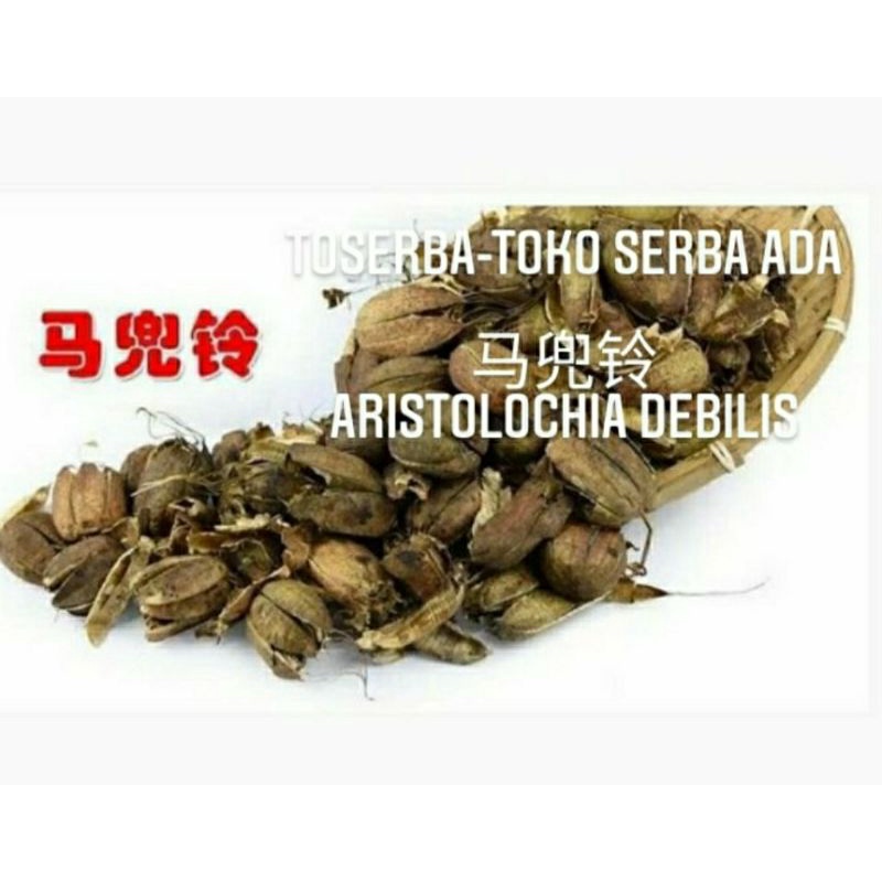 

100gr Herbal Ma Dou Ling 马兜铃 Aristolochia Debilis Fructus Aristolochiae Premium Grade