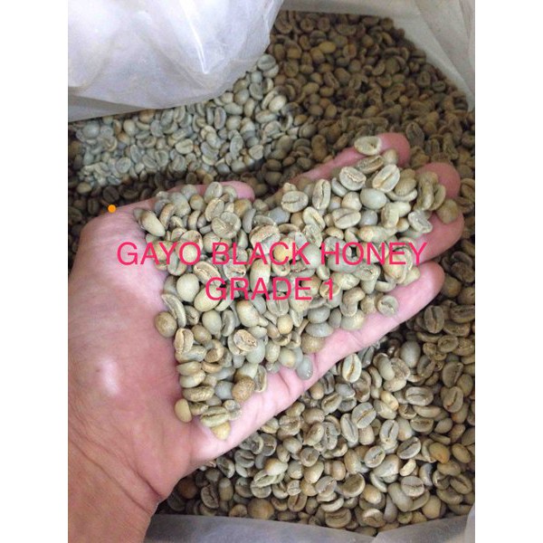 

Jual ARABIKA GAYO BLACK HONEY PROCESS GREEN BEAN Murah