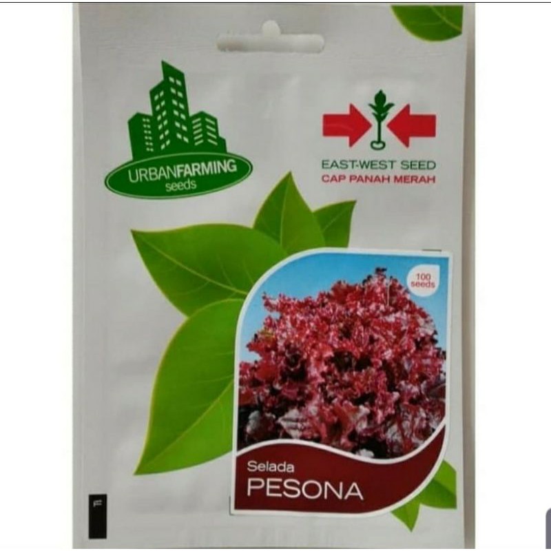 benih bibit selada merah pesona cap panah merah kemasan urban farming
