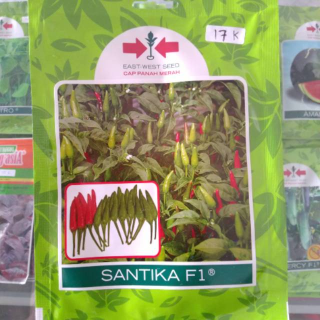 Benih cabe rawit santika f1 panah merah