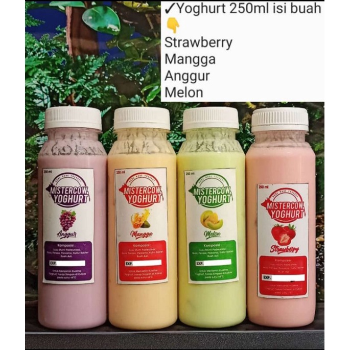 

YOGHURT VARIAN RASA ISI ASLI BUAH 250ml