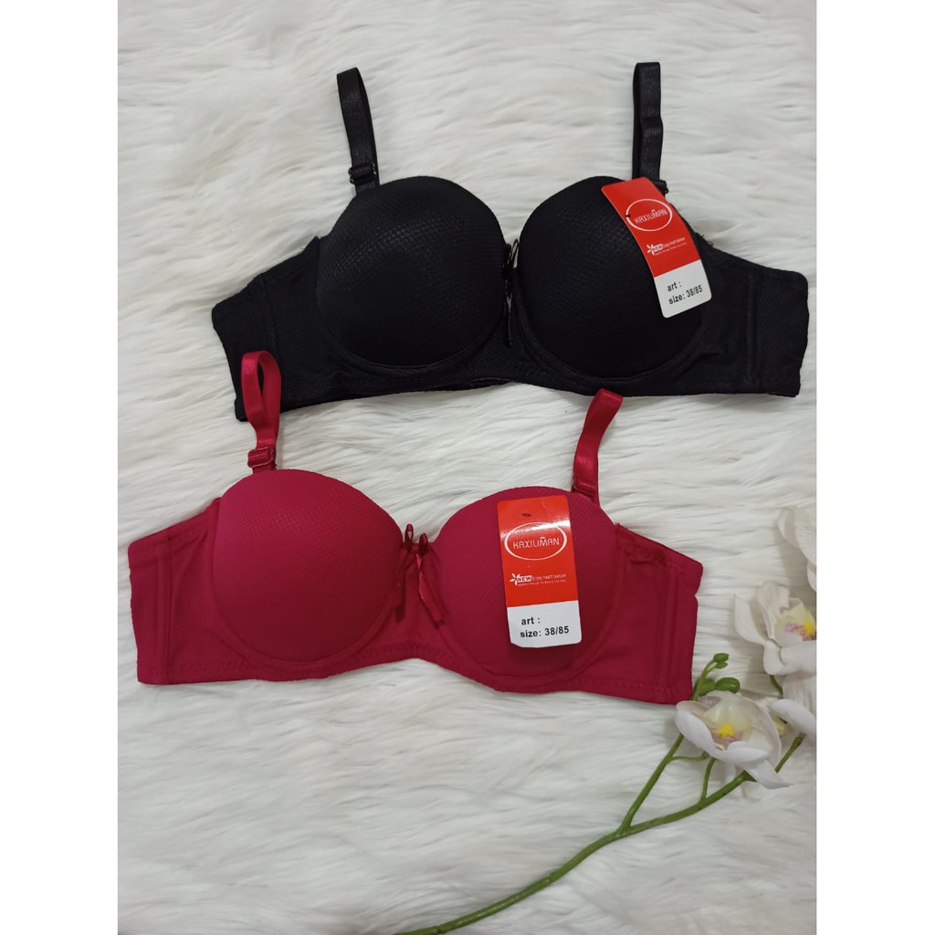 Bra BH Fashion Wanita Bra Cantik BH Kawat Busa Tipis /  ISABELLE 253-3