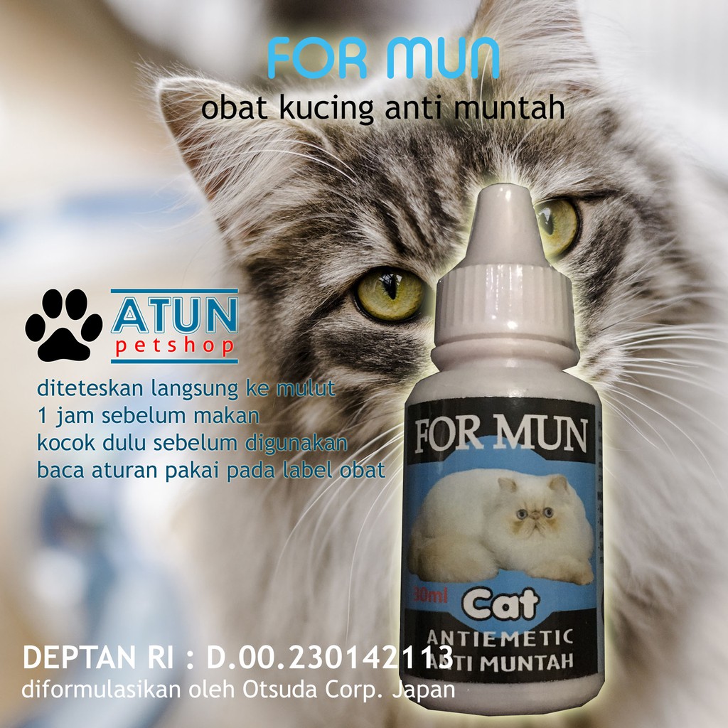 Obat Kucing Muntah For Mun Aman Buat Kitten