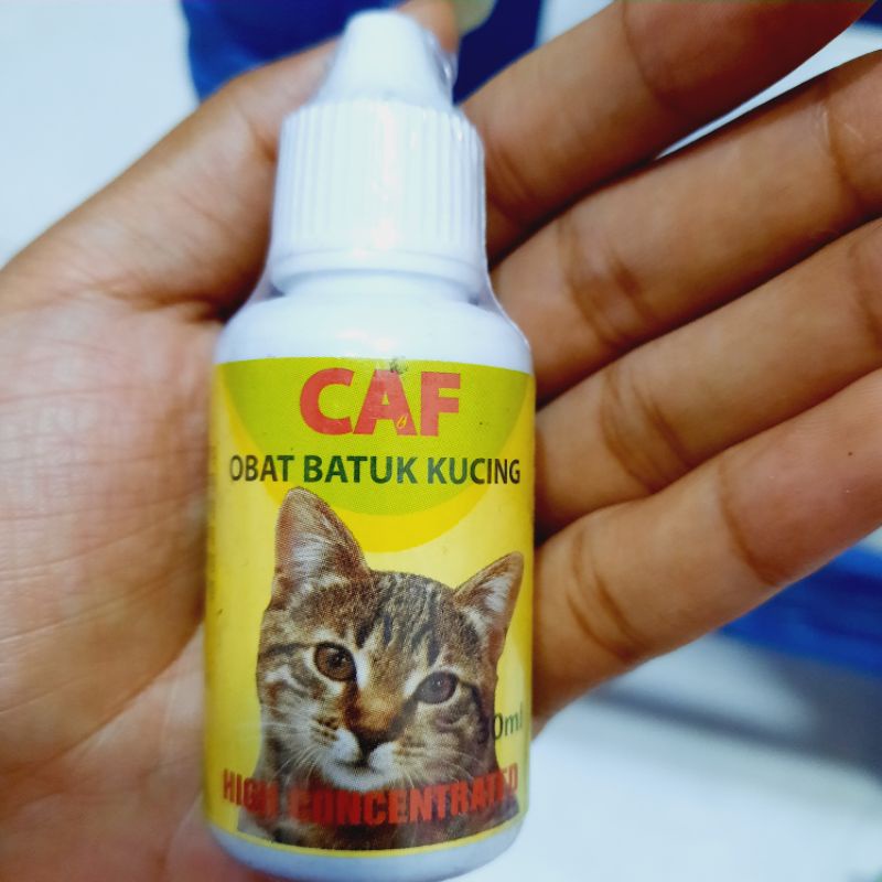 caf obat batuk kucing 30ml