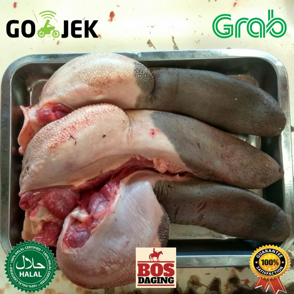 

Lidah sapi lokal / daging sapi / lokal bukan impor dijamin fresh segar