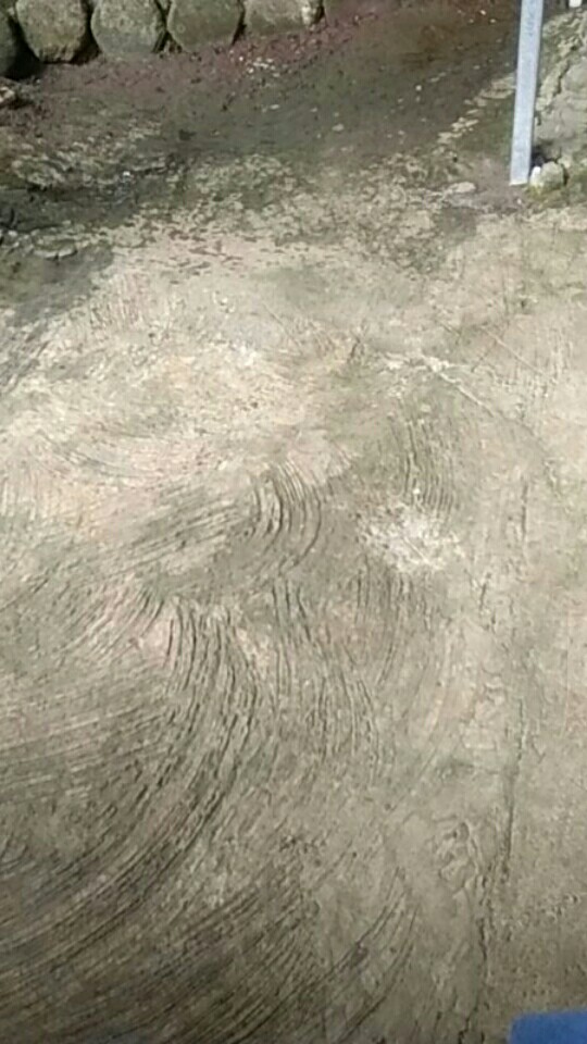 Galing Purwo Kemeja Batik Pria Full Furing Bahan Katun Sragenan