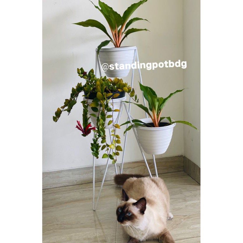 SALE ! Ready Bandung / Standing Pot 3in1  3 susun 3 tahap / Rak Pot Besi