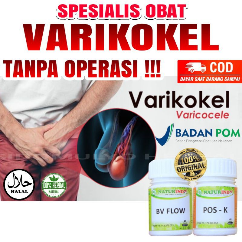 obat varikokel tedun turun berok tanpa operasi