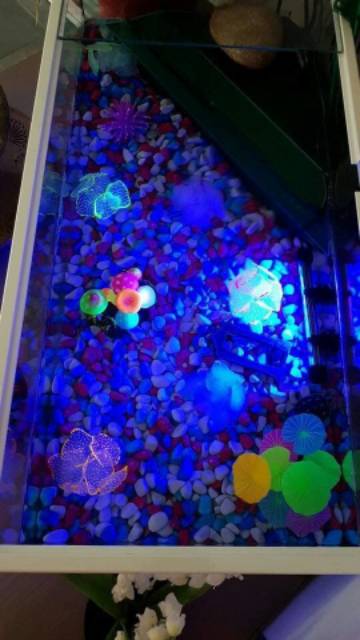 hiasan aquarium tanaman coral menyala efek cahaya - dekorasi air artifisial