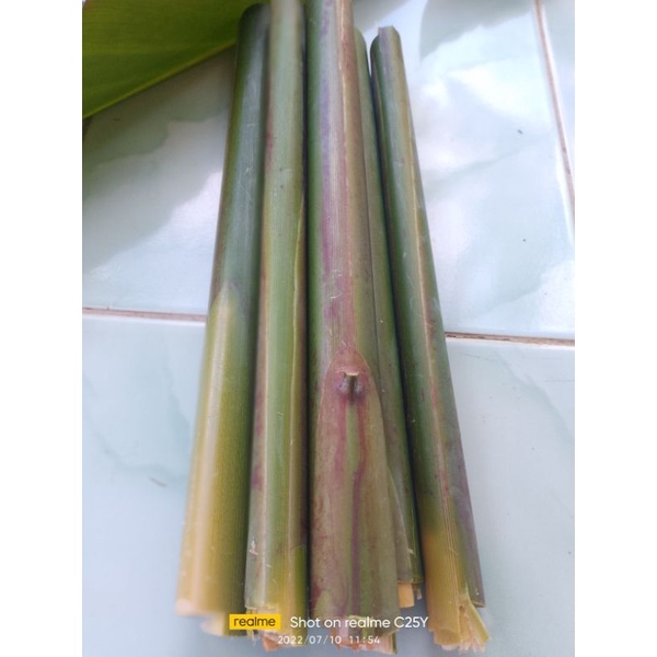 

Batang Combrang/Kecombrang 1Kg