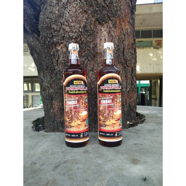 

Madu Propolis Habbatussauda Asli