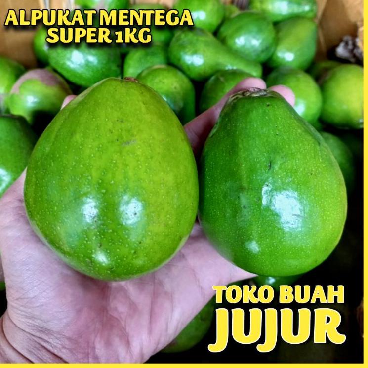 

rara ALPUKAT MENTEGA SUPER ❥➴ ➶