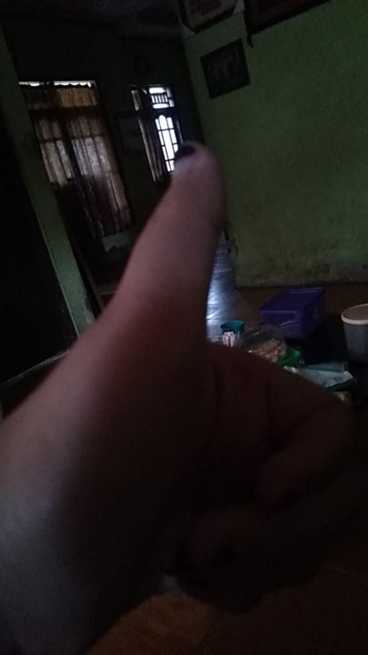 Pakis Aji Kemeja Batik Pria Full Furing Bahan Katun Halus Primisima