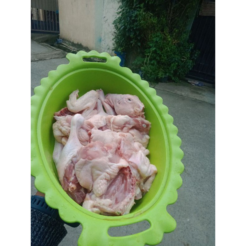 

bebek potong 1kg