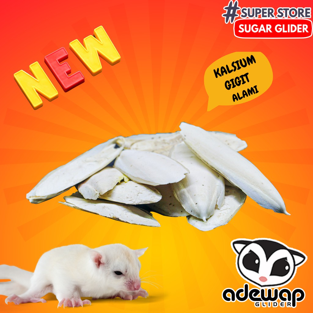 ADEWAP GLIDER Kalsium Tulang Sotong Kering Asinan Gigitan Sugar Glider