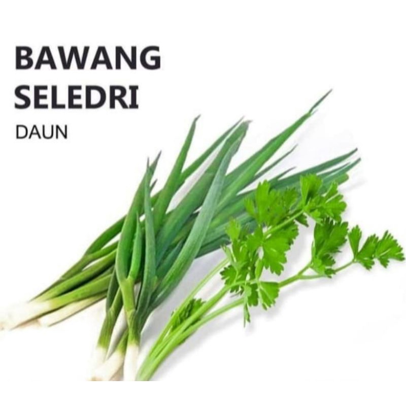 

Daun bawang dan seledri 100gr