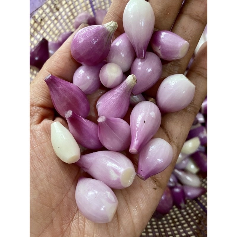 bawang merah Kupas 1kg