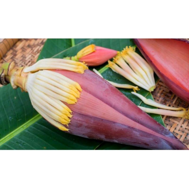 

Jantung Pisang Per Buah