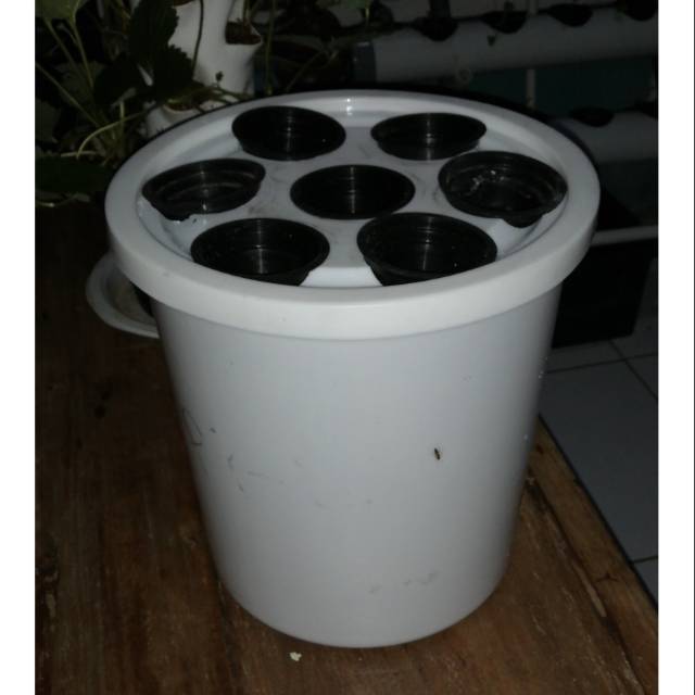 BEST SELLER Instalasi hidroponik sederhana sistem wick