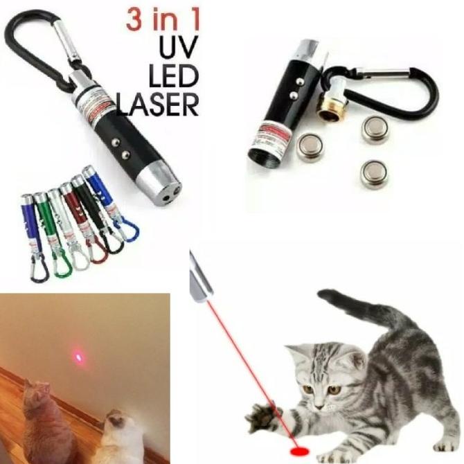 Mainan Kucing persia peaknose kampung dome anjing laser