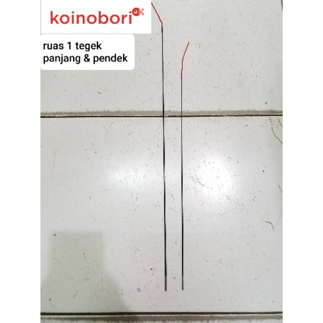 Ujung tegek sepat ruas 1 panjang / pendek