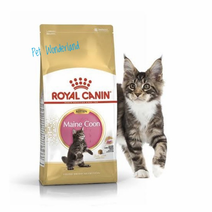 Royal Canin Maine Coon Kitten 2 Kg - Makanan Kucing Maine Coon Kitten
