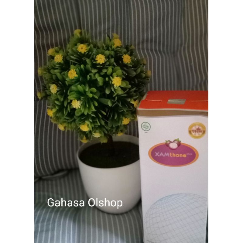 Xamthone Plus Original