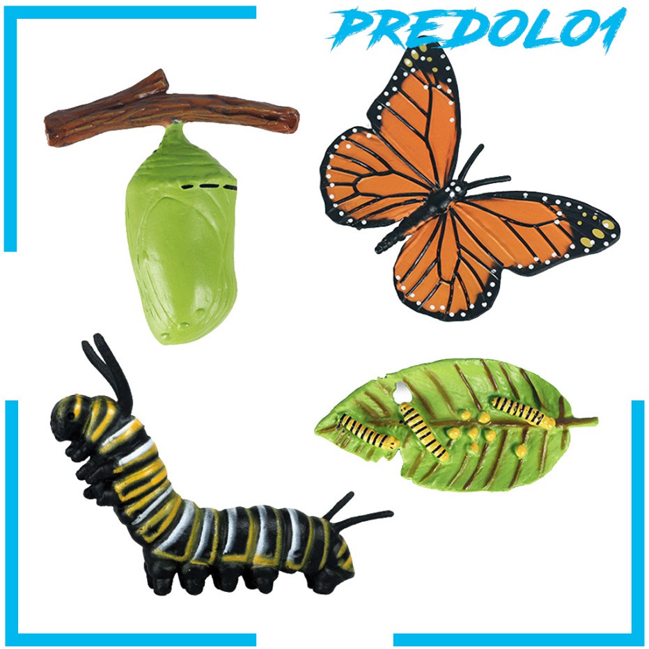 (Predolo1) Mainan Simulasi Satwa Siklus Hidup Untuk Guru/Anak) Animal Life Cycle Simulation Toys For Teachers / Children