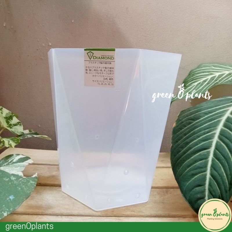 Pot TABITHA DIAMOND 25 Bening Berlubang