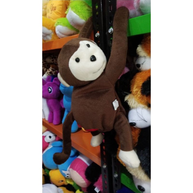 monyet tisu/bonekatisu/monyettisu