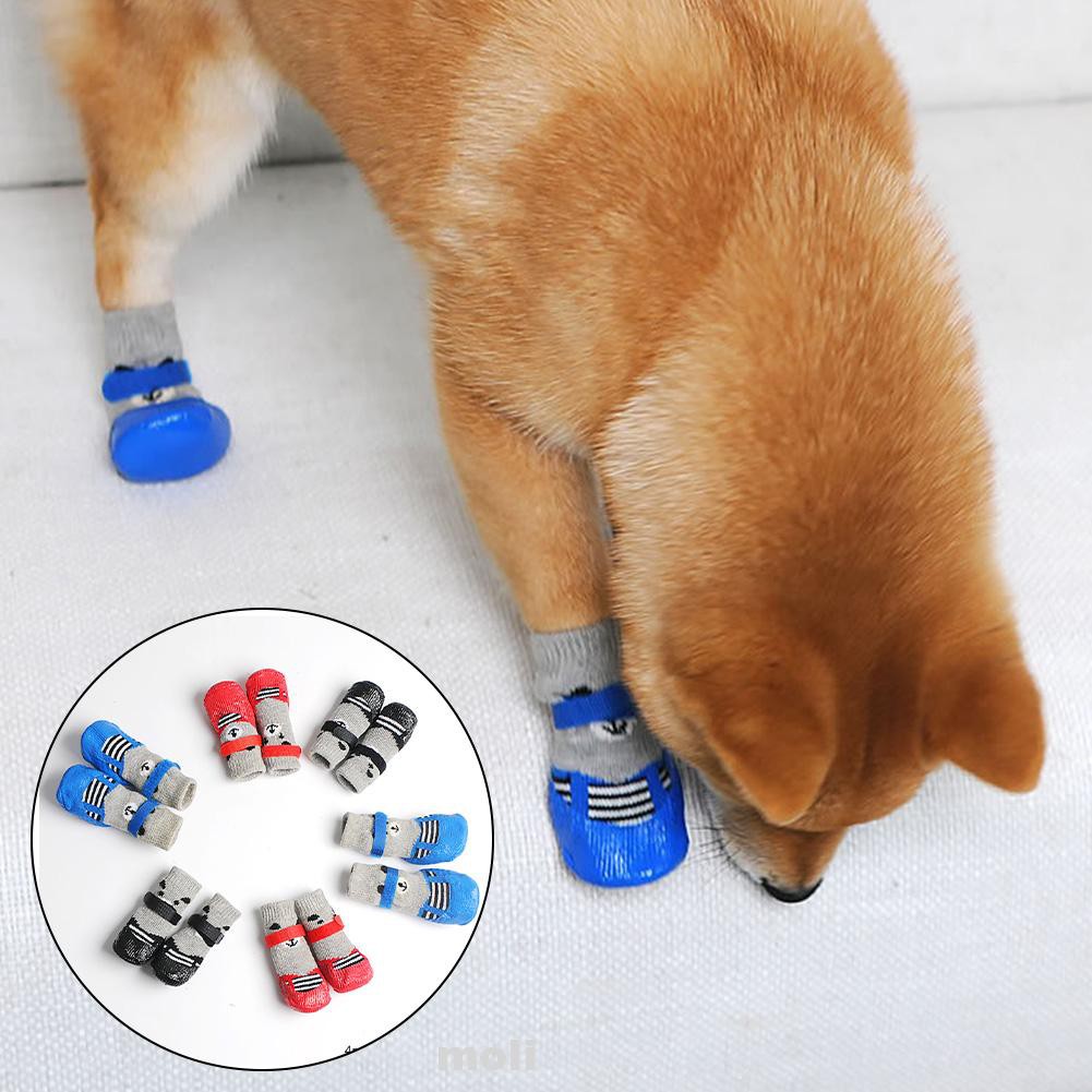 dog socks pets at home