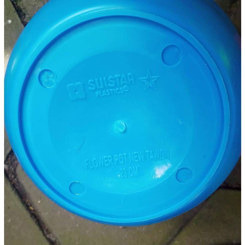 Suistar - pot tawon 20 cm / pot tawon / pot tanaman / pot bunga / pot warna warni / pot hias