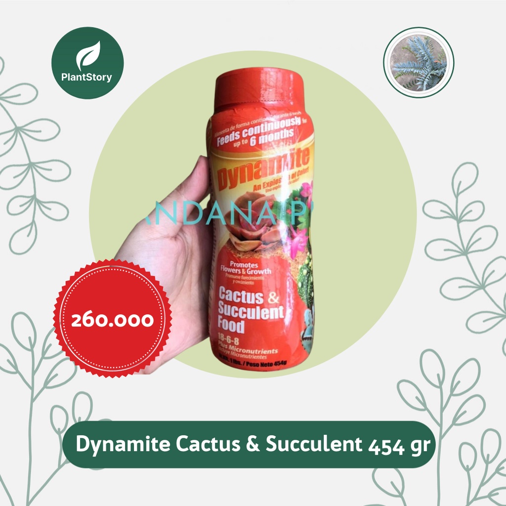Jual Pupuk Dynamite Cactus & Succulent (454 gr) Shopee Indonesia