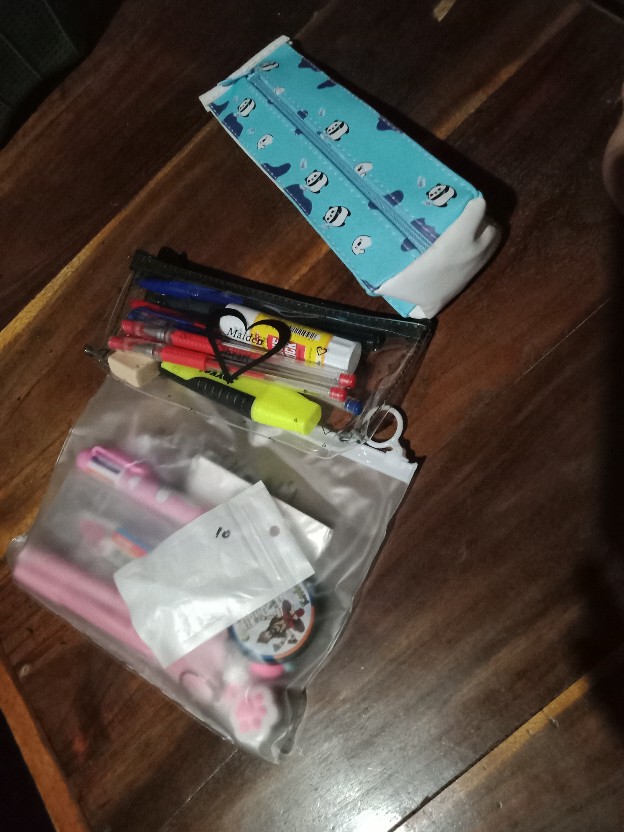 Batamgrosir.id | Kantong Storage Bag Ziplock Motif Kaktus Sedang Part 1