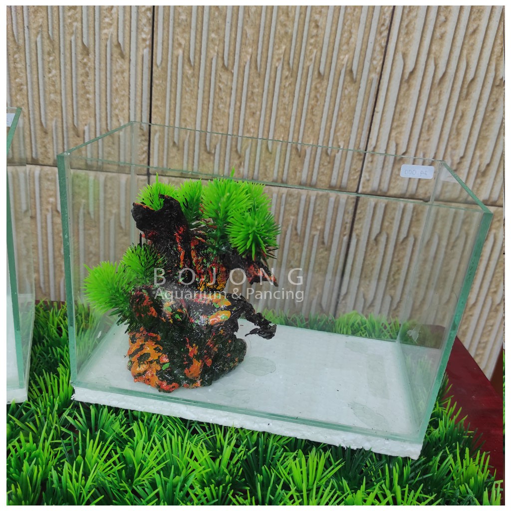 Aquarium Ikan Kecil/Cupang Kaca tanpa sekat 20cm