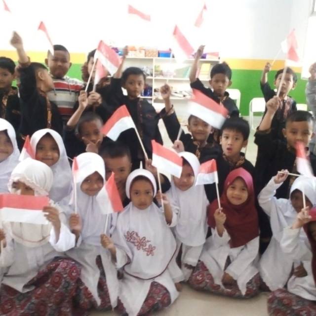 aniswin