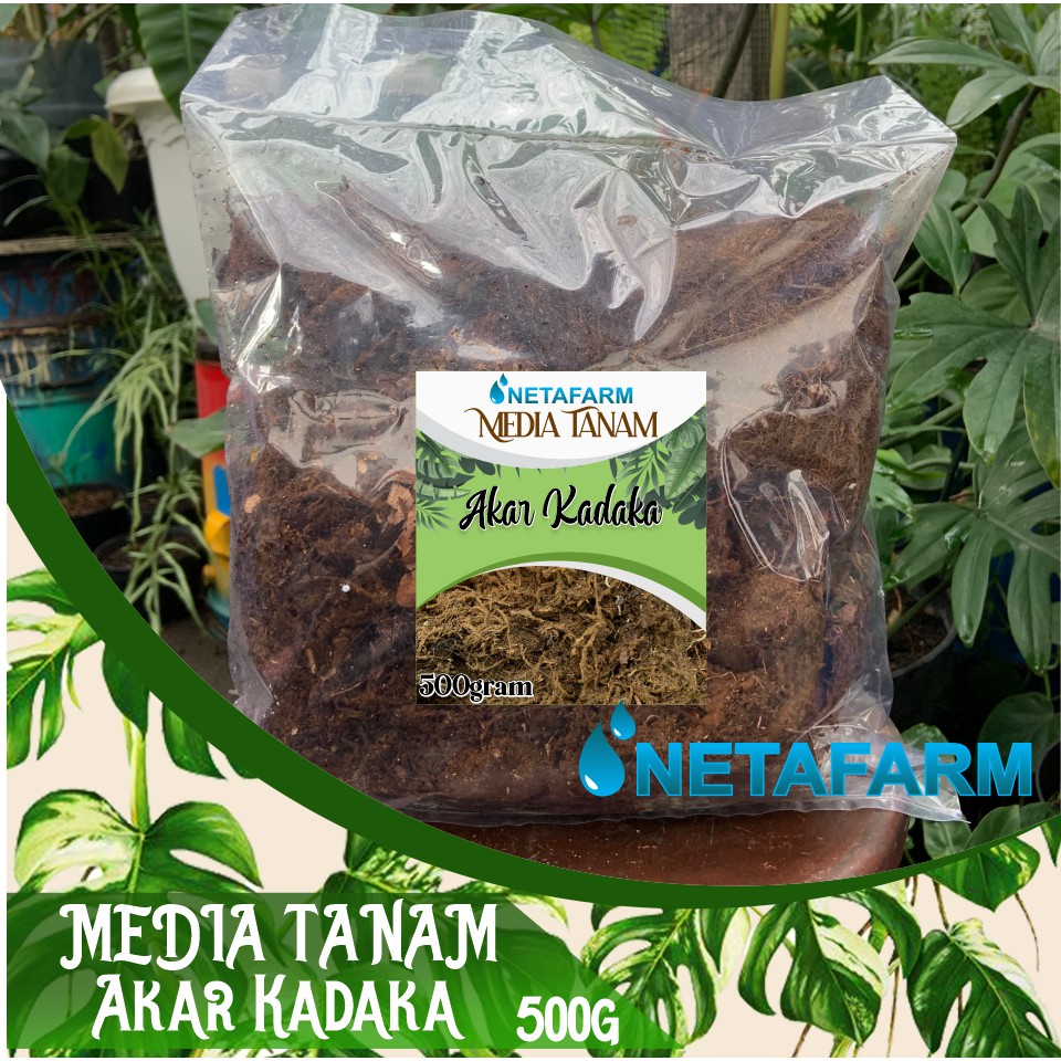 Media Tanam Moss Hitam Akar Kadaka - 500gr