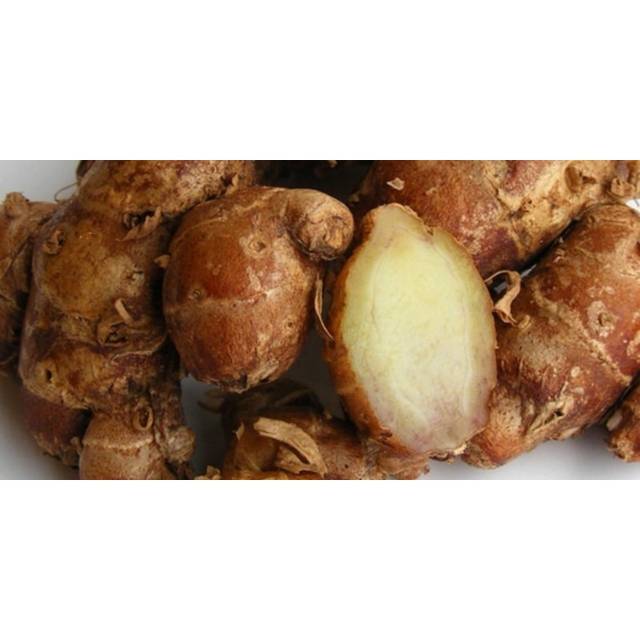 

Grosir 100 gram Kencur Rempah Herbal Segar Murah