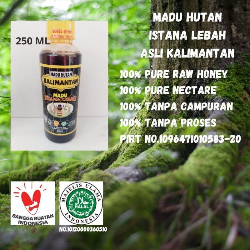 

Madu Murni Hutan Asli Kalimantan Raw Honey 250 ml Balikpapan Sertifikasi LP POM MUI