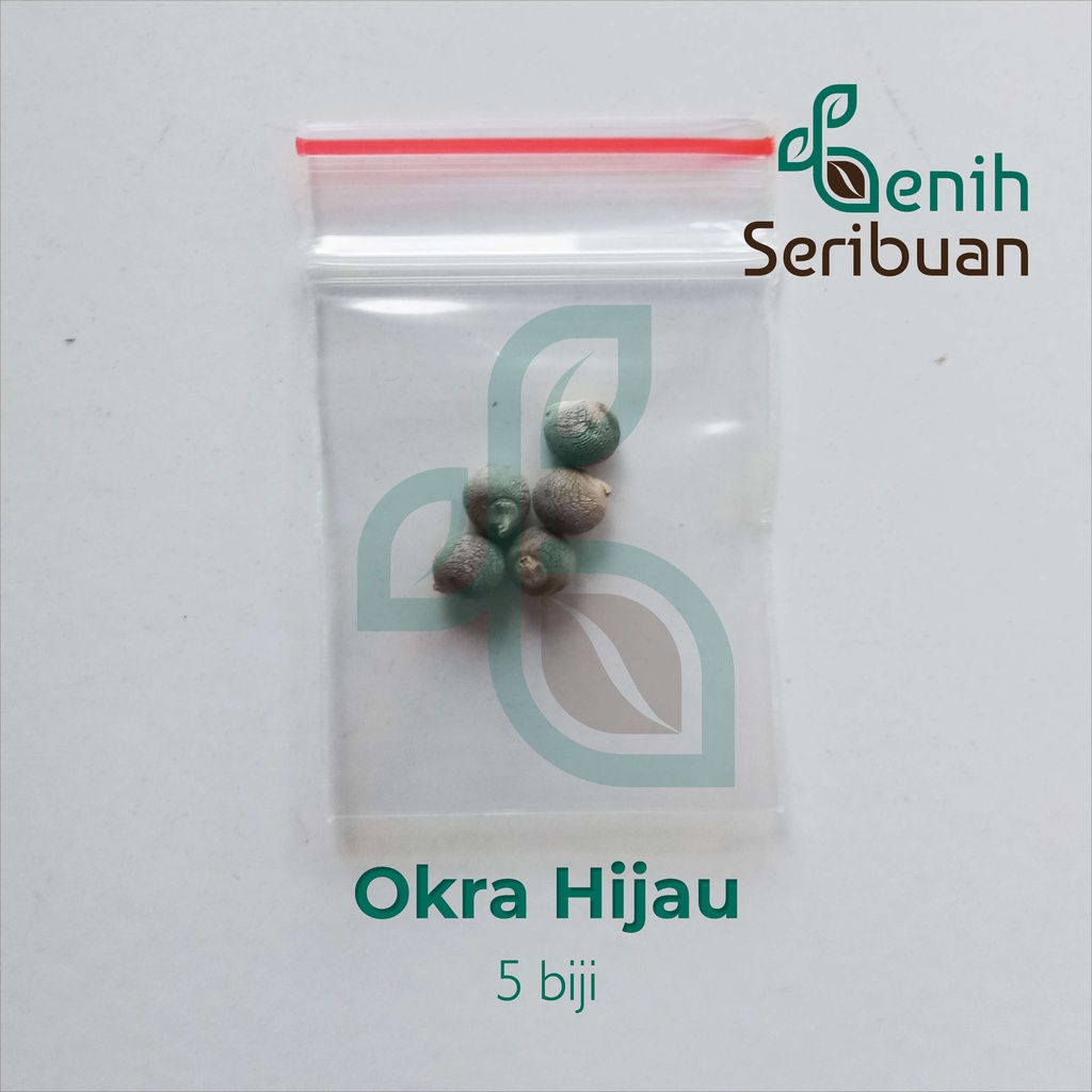 5 Benih Okra Hijau Greenie F1 Hibrida Bibit Sayuran Known You Seed Tanaman Sayur Unggul Berkualitas-5