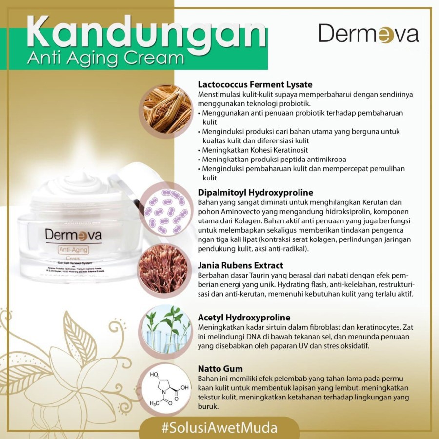 DERMEVA ANTI AGING CREAM ORIGINAL BPOM