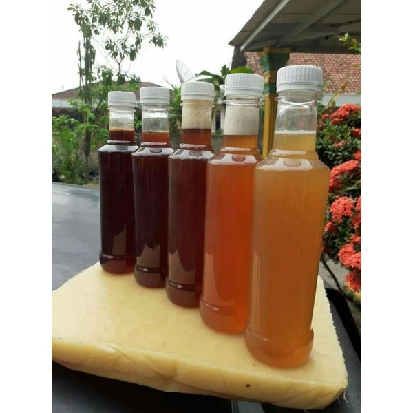 

madu hutan sialang dijamin asli