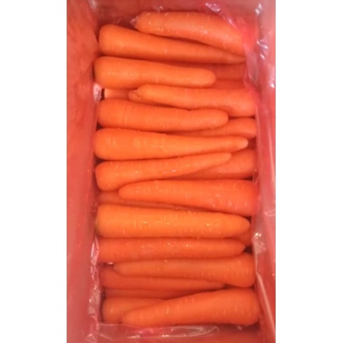 

Wortel Brastagi Medan Fresh