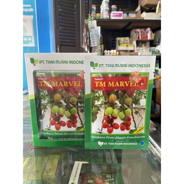 Benih/Bibit Tomat Besar TM Marvel 10gr