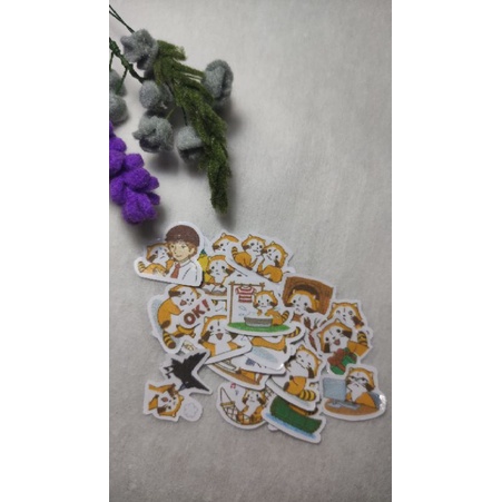 

35pcs Fox Sticker Pack Sticker Haul Cute Stiker