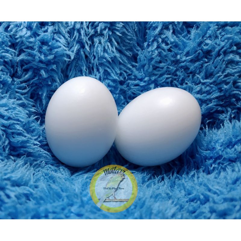 Dummy Egg /TELUR PALSU Burung Falk/Cockatiel/Quaker/Monk Parakeet/wambi/beo/puter